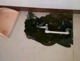 东海卫生间测漏水多少钱
